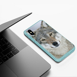 Чехол iPhone XS Max матовый Милый волк, цвет: 3D-мятный — фото 2