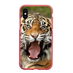 Чехол iPhone XS Max матовый Удивленный тигр, цвет: 3D-красный