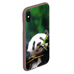 Чехол iPhone XS Max матовый Панда на ветке, цвет: 3D-коричневый — фото 2