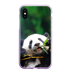Чехол iPhone XS Max матовый Панда на ветке, цвет: 3D-сиреневый