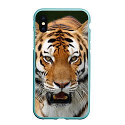 Чехол iPhone XS Max матовый Рык тигра, цвет: 3D-мятный
