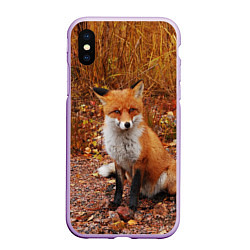 Чехол iPhone XS Max матовый Осенняя лиса, цвет: 3D-сиреневый