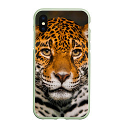 Чехол iPhone XS Max матовый Взгляд ягуара, цвет: 3D-салатовый
