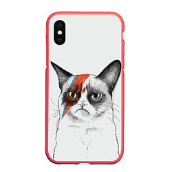 Чехол iPhone XS Max матовый David Bowie: Grumpy cat, цвет: 3D-красный