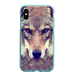 Чехол iPhone XS Max матовый Angry Wolf, цвет: 3D-мятный