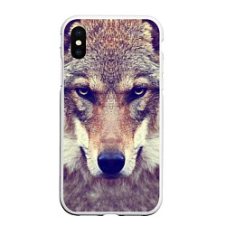 Чехол iPhone XS Max матовый Angry Wolf