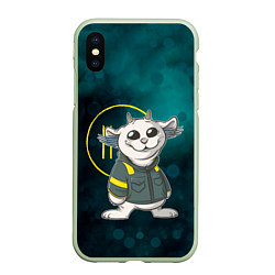 Чехол iPhone XS Max матовый 21 Pilots - Chlorine Ned