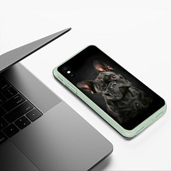 Чехол iPhone XS Max матовый Французский бульдог, цвет: 3D-салатовый — фото 2