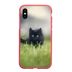 Чехол iPhone XS Max матовый Черный кот на лугу, цвет: 3D-красный