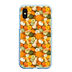 Чехол iPhone XS Max матовый Тыквы Pumpkin, цвет: 3D-голубой