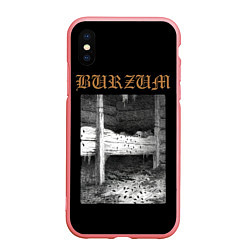 Чехол iPhone XS Max матовый Burzum cockroaches