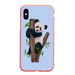Чехол iPhone XS Max матовый Забавная панда на дереве