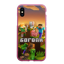 Чехол iPhone XS Max матовый Богдан Minecraft, цвет: 3D-малиновый