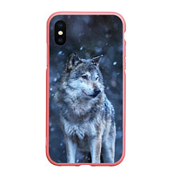 Чехол iPhone XS Max матовый Лесной волк, цвет: 3D-баблгам