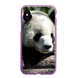 Чехол iPhone XS Max матовый Пандa, цвет: 3D-фиолетовый