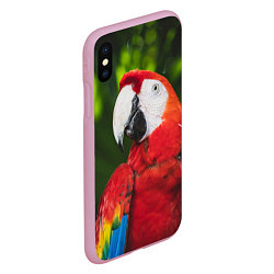 Чехол iPhone XS Max матовый Красный попугай Ара, цвет: 3D-розовый — фото 2