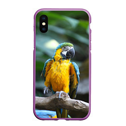 Чехол iPhone XS Max матовый Красавец попугай, цвет: 3D-фиолетовый