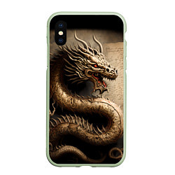Чехол iPhone XS Max матовый Китайский дракон с открытой пастью, цвет: 3D-салатовый