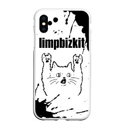 Чехол iPhone XS Max матовый Limp Bizkit рок кот на светлом фоне