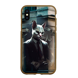 Чехол iPhone XS Max матовый Payday 3 cat bank, цвет: 3D-коричневый