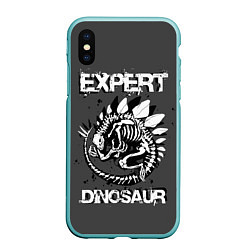 Чехол iPhone XS Max матовый Dinosaur expert