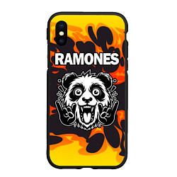 Чехол iPhone XS Max матовый Ramones рок панда и огонь