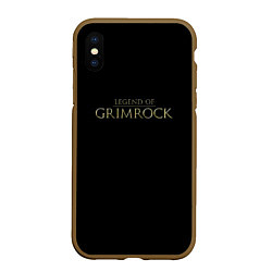 Чехол iPhone XS Max матовый Legend of Grimrock, цвет: 3D-коричневый