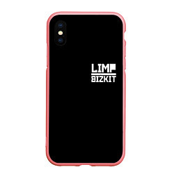 Чехол iPhone XS Max матовый Lim Bizkit logo, цвет: 3D-баблгам