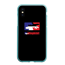 Чехол iPhone XS Max матовый Limp Bizkit logo brend, цвет: 3D-мятный