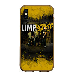 Чехол iPhone XS Max матовый Limp Bizkit: Gold Street