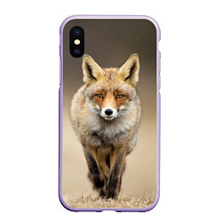 Чехол iPhone XS Max матовый Бегущая лисица, цвет: 3D-светло-сиреневый