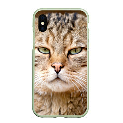 Чехол iPhone XS Max матовый Взгляд кошки, цвет: 3D-салатовый