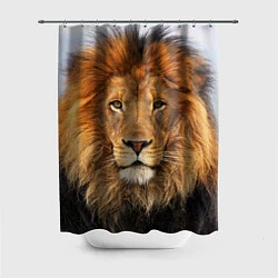 Шторка для ванной Красавец лев