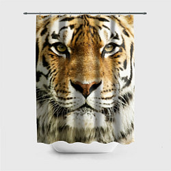 Шторка для душа Амурский тигр, цвет: 3D-принт