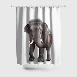 Шторка для ванной Большой слон