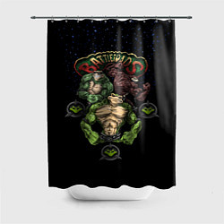 Шторка для ванной Battletoads Trio