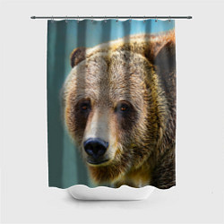 Шторка для душа Русский бурый медведь, цвет: 3D-принт