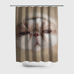 Шторка для душа Кот буханка, цвет: 3D-принт