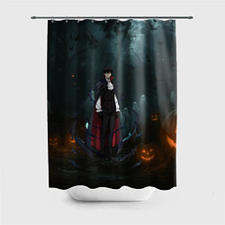 Шторка для ванной Вампир Сон Джин-Ву - Поднятие уровня в одиночку ан