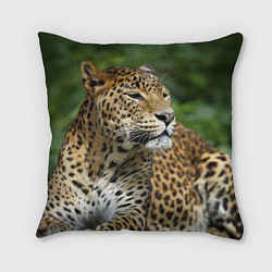 Подушка квадратная Лик леопарда, цвет: 3D-принт