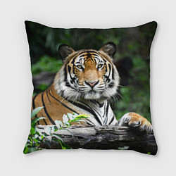 Подушка квадратная Тигр в джунглях, цвет: 3D-принт