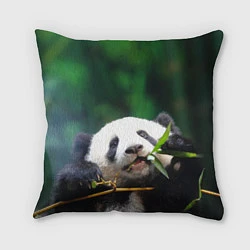 Подушка квадратная Панда на ветке