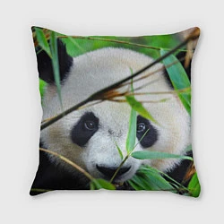 Подушка квадратная Панда в лесу