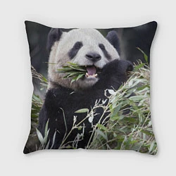 Подушка квадратная Панда кушает