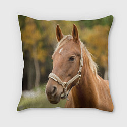 Подушка квадратная Взгляд лошади, цвет: 3D-принт