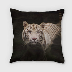 Подушка квадратная Белый тигр