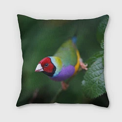 Подушка квадратная Яркая птичка попугай, цвет: 3D-принт