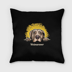 Подушка квадратная Веймаранер Weimaraner, цвет: 3D-принт