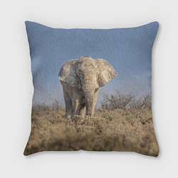 Подушка квадратная Африканский белый слон