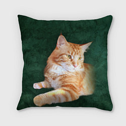 Подушка квадратная Мейн кун рыжий кот